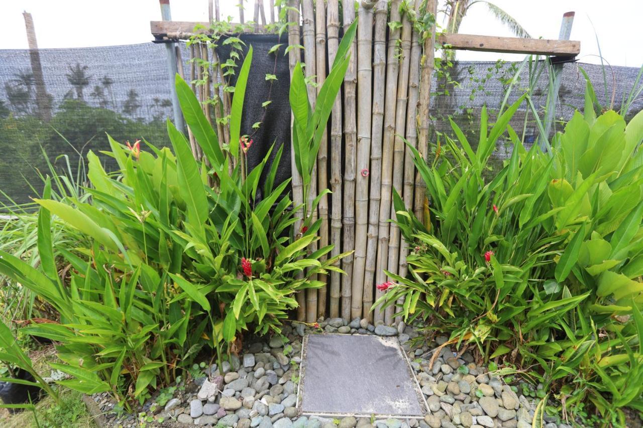 Lafinca Hostel Siargao San Isidro  外观 照片